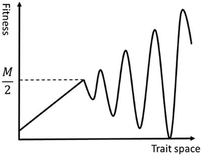 The Role of Social Learning in the Evolution on a Rugged Fitness Landscape